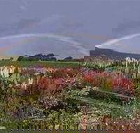 Boat Harbour Garden Cottages - Darwin Holiday