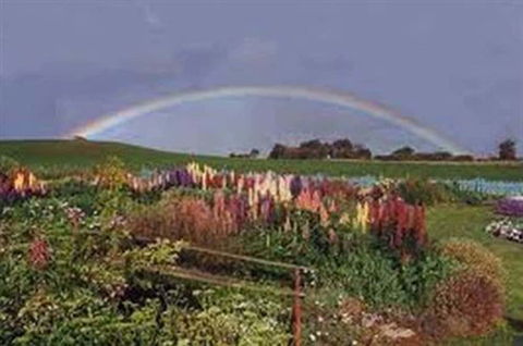 Boat Harbour Garden Cottages - Darwin Holiday 0