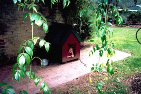 Kurrajong Trails And Cottages - Darwin Holiday 1