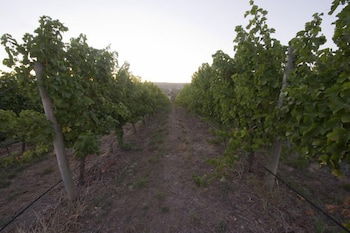 Barristers Block Vigneron Villa - Darwin Holiday 4