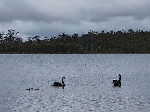 Lake Yalleena Nature Retreat - Darwin Holiday 0