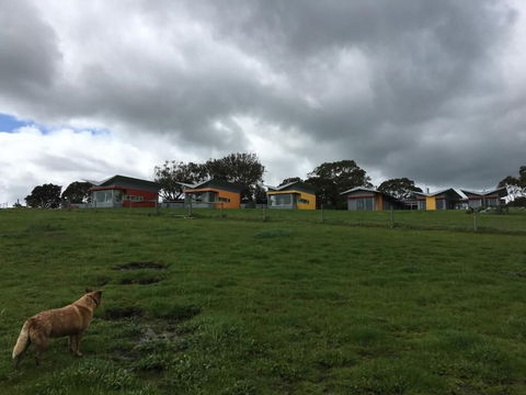 Lush Pastures - Darwin Holiday 1