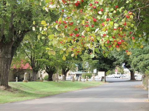 Ross Motel - Darwin Holiday 5