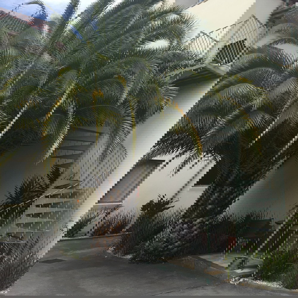 Brunswick VIC Darwin Holiday