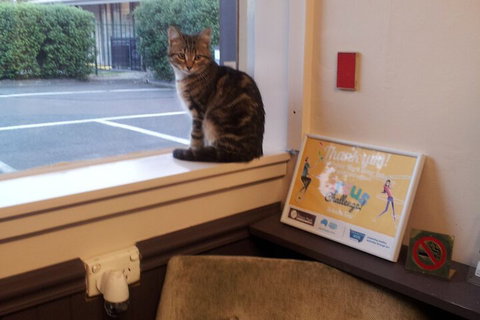 The Prince Mark Motor Inn - Darwin Holiday 6