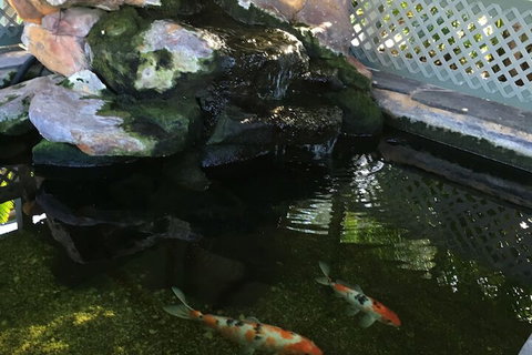 Quality Inn The Willows - Darwin Holiday 3