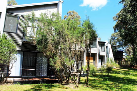 Margarets Forest - Darwin Holiday 2