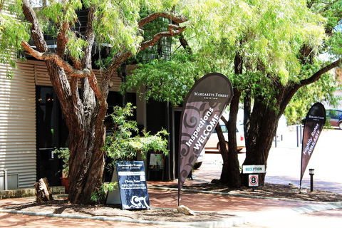 Margarets Forest - Darwin Holiday 1