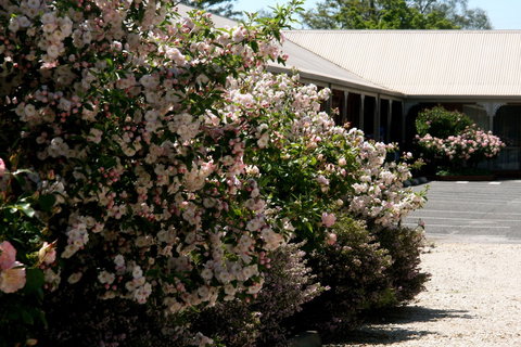 Wine Village Motor Inn - Darwin Holiday 1