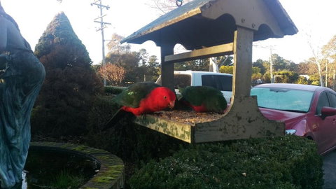 Grand Country Lodge Motel - Darwin Holiday 3