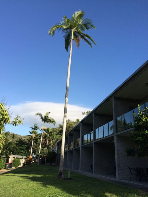 Arcadia Village Motel - Darwin Holiday 2