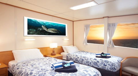 Reef Encounter - Darwin Holiday 2