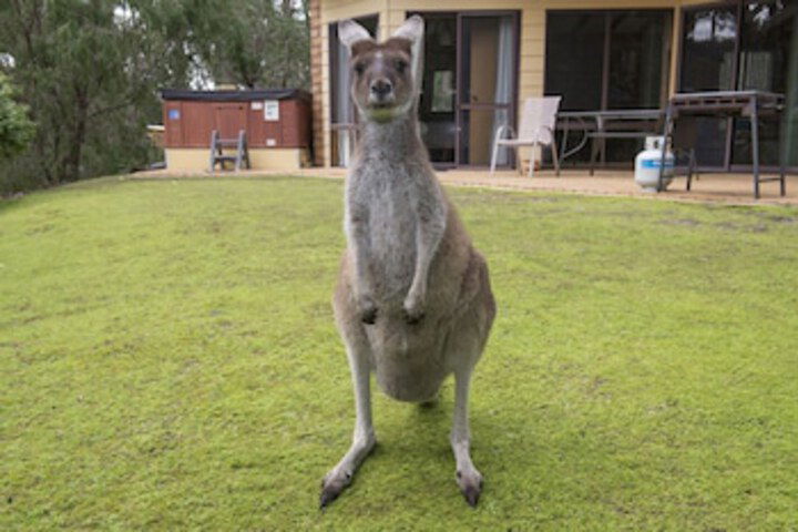 Metricup WA Darwin Holiday