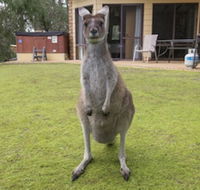 Yelverton Brook Conservation Sanctuary - Darwin Holiday