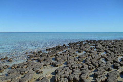 Hamelin Pool Caravan Park - Darwin Holiday 4