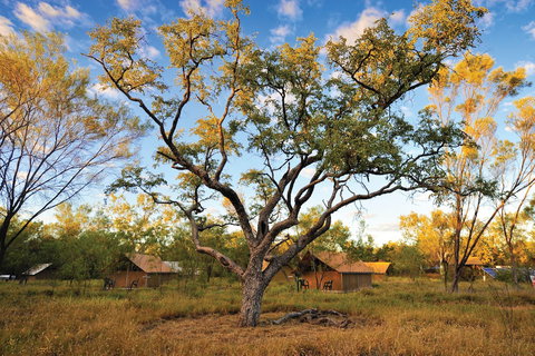 Bungle Bungle Wilderness Lodge - Darwin Holiday 5