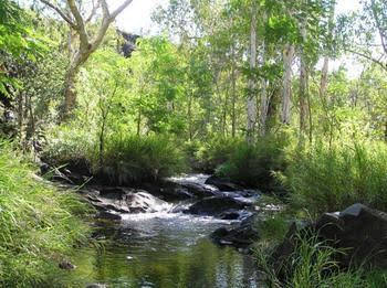 Mt Hart Homestead - Darwin Holiday 4