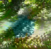 Palm Cove Tropic Apartments - Darwin Holiday