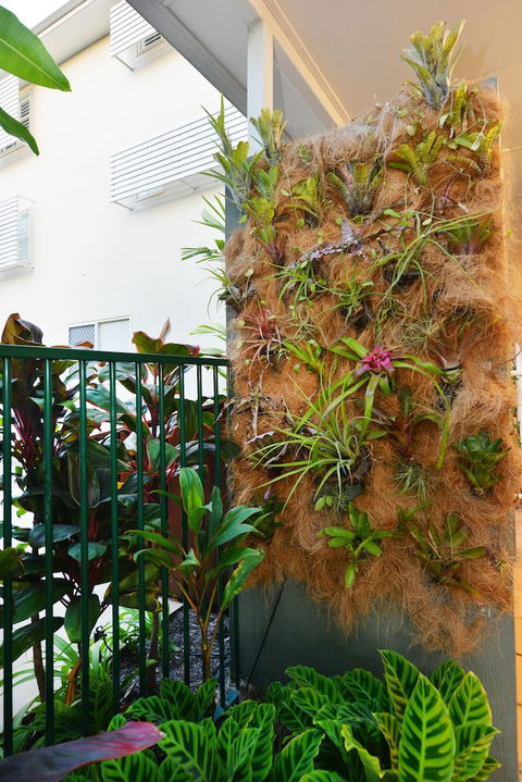 Port Douglas Apartments - Darwin Holiday 1