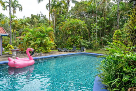 Pink Flamingo Resort - Darwin Holiday 5