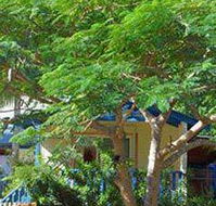Amber Gardens Guesthouse - Darwin Holiday