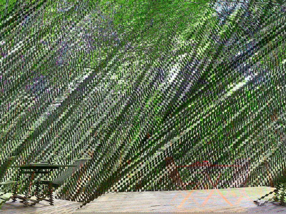 Skinners Shoot NSW Darwin Holiday