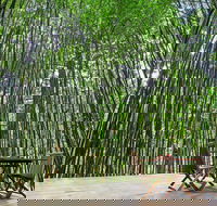 Azabu Boutique Accommodation Byron Bay - Darwin Holiday