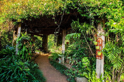 Tamborine Mountain B&B - Darwin Holiday 1