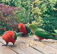 Crimson Villa - Darwin Holiday