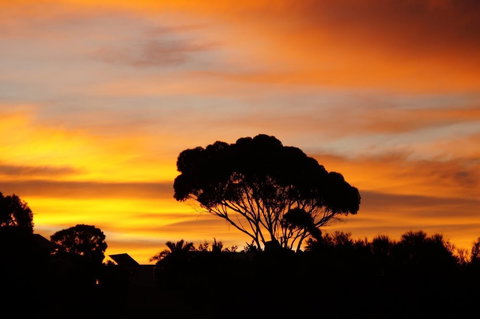 Lindsays Of Kangaroo Island - Darwin Holiday 0