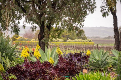 Linger Longer Vineyard Bed & Breakfast - Darwin Holiday 2