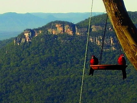 Valley Of The Waters B&B - Darwin Holiday 3