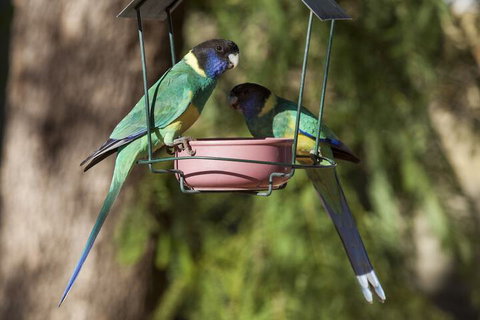 Kathys Place Bed And Breakfast - Darwin Holiday 2