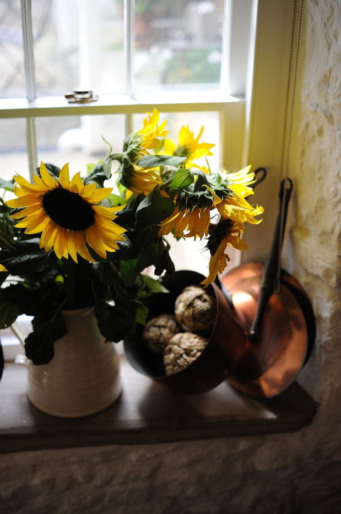 Red Feather Inn - Darwin Holiday 5