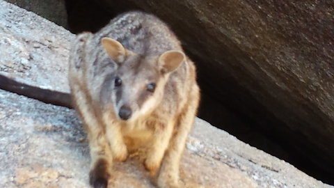 Arcadia Beach Guest House - Darwin Holiday 1