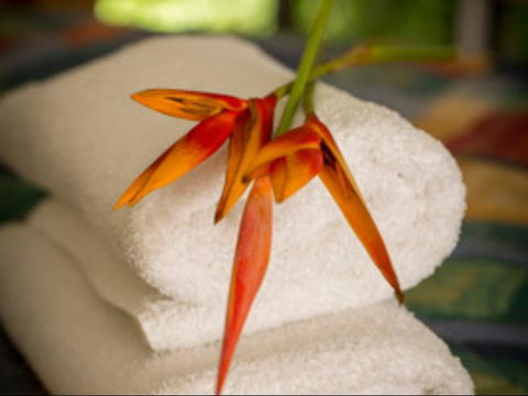 Parap Village Serviced Apartments - Darwin Holiday 1