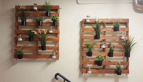 Jackaroo Hostel Sydney - Darwin Holiday 4