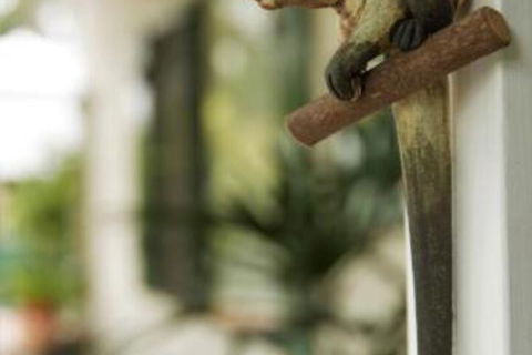 Lindas Place B & B - Darwin Holiday 2