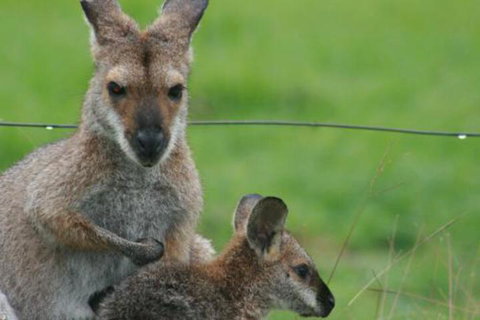 Grand View Holiday Home - Darwin Holiday 6