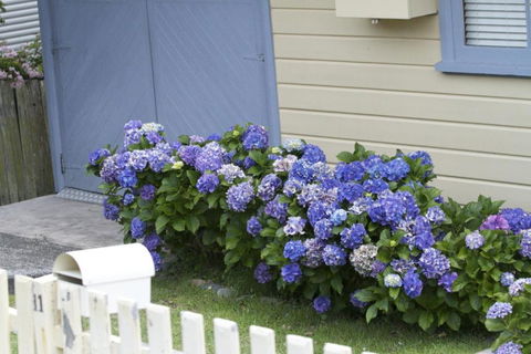 Lorikeet Retreat 11 Hodgson Street - Darwin Holiday 3