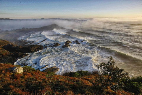 Bimbimbi 2 11 Willow Street - Darwin Holiday 2