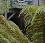 The Wombat Cottage - Darwin Holiday