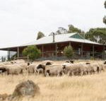 Gilgraves Vineyard Farmstay - Darwin Holiday