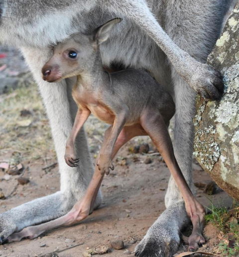 Valley View Luxury Retreat - Darwin Holiday 3