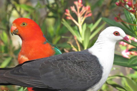 Valley View Luxury Retreat - Darwin Holiday 5