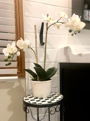 SEAeSCAPE Apollo Bay - Darwin Holiday 4