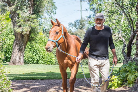Russley Rural Retreat - Darwin Holiday 3
