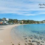 Matador Flat Pet Friendly Accommodation - Darwin Holiday 0