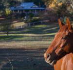 Historic Oak Hill House Estate Truffle Gourmet Festival Region - Darwin Holiday