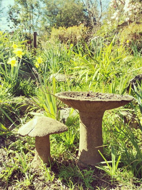 Lake House Benalla - Darwin Holiday 6